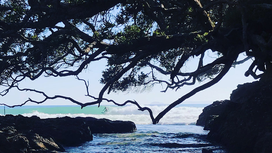 Learn how to surf with a 2 hour group surfing lesson in the Northland paradise that is Waipu Cove!