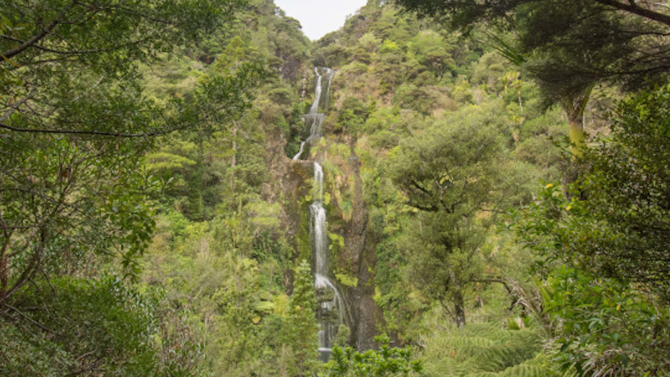 Take a break from Auckland for a day to explore the stunning West Coast!