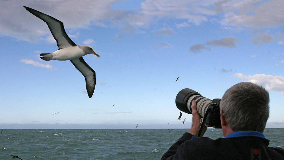 Nature Cruise Kaikoura