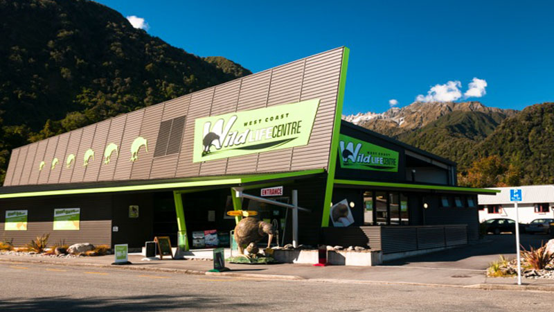 The West Coast Wildlife Centre is an all weather visitor attraction located in Franz Josef,  presenting rare Kiwi in an authentic environment.