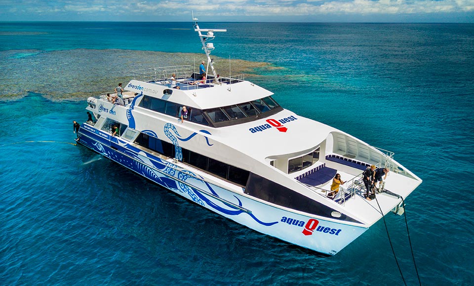 Aquaquest Premium Snorkel And Dive Great Barrier Reef Day Trip Departing Cairns Epic Deals And Last Minute Discounts