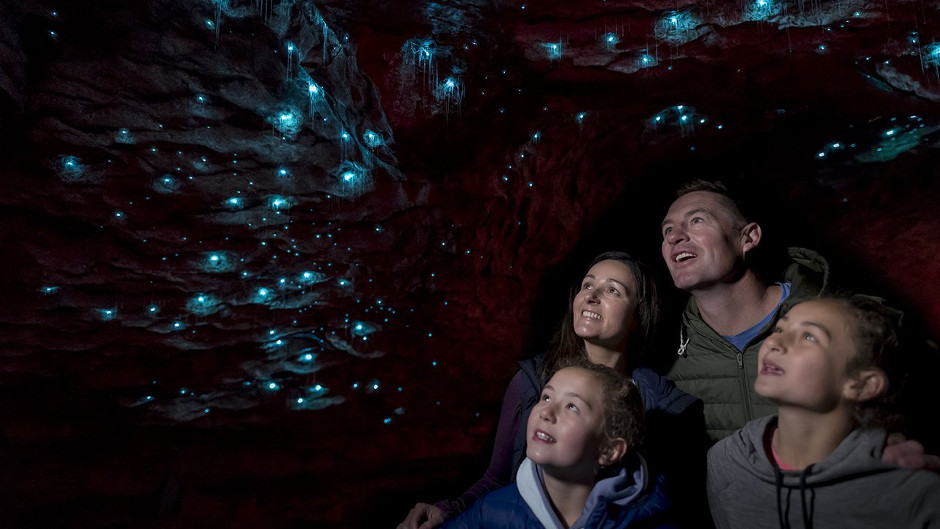 Tick off two amazing experiences - discover the fascinating creatures that illuminate the Te Anau glow worm caves followed by a world-class cruise in Doubtful Sound...