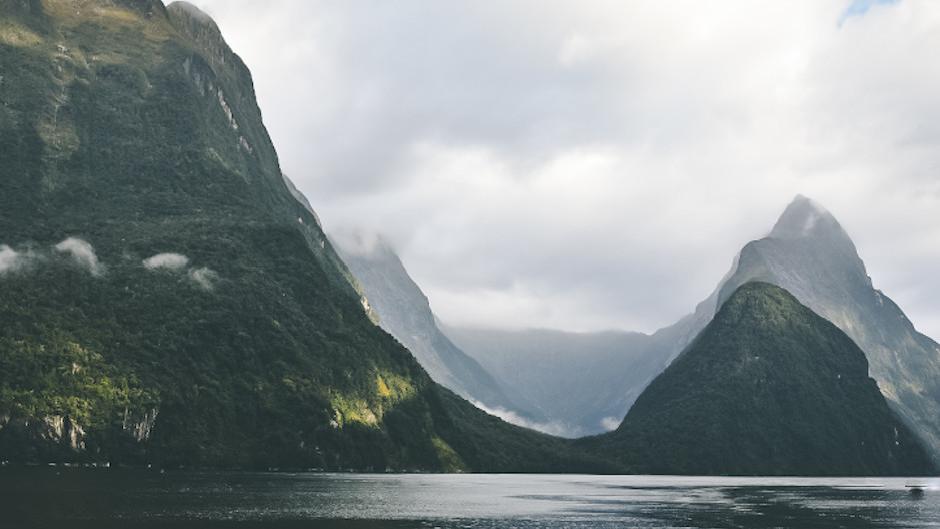 Enjoy an exclusive, personalised tour to Milford Sound for two or three people!