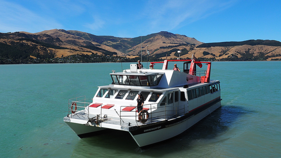 Experience a fascinating full or half-day exploring Quail Island