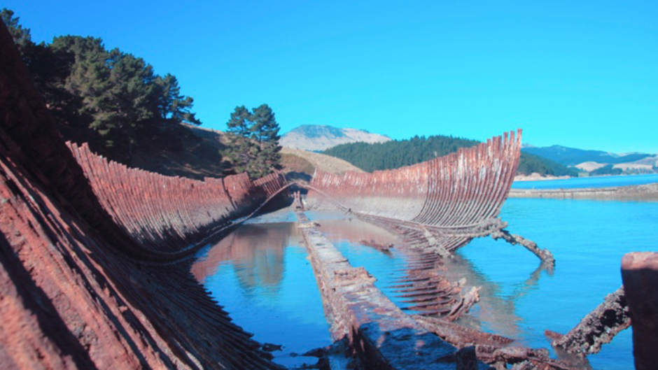 Experience a fascinating full or half-day exploring Quail Island