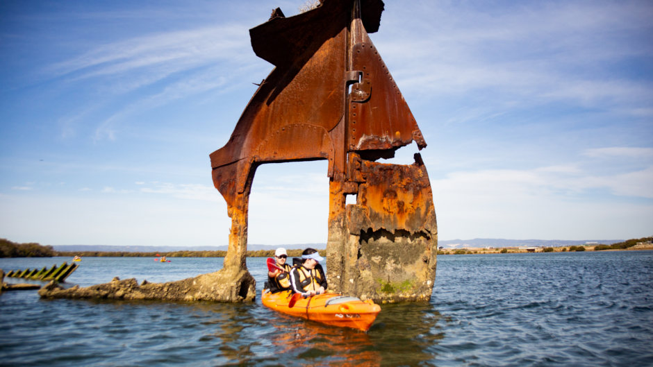 Enjoy a unique kayak excursion to discover Adelaide's amazing dolphin sanctuary & shipwreck heritage trail...