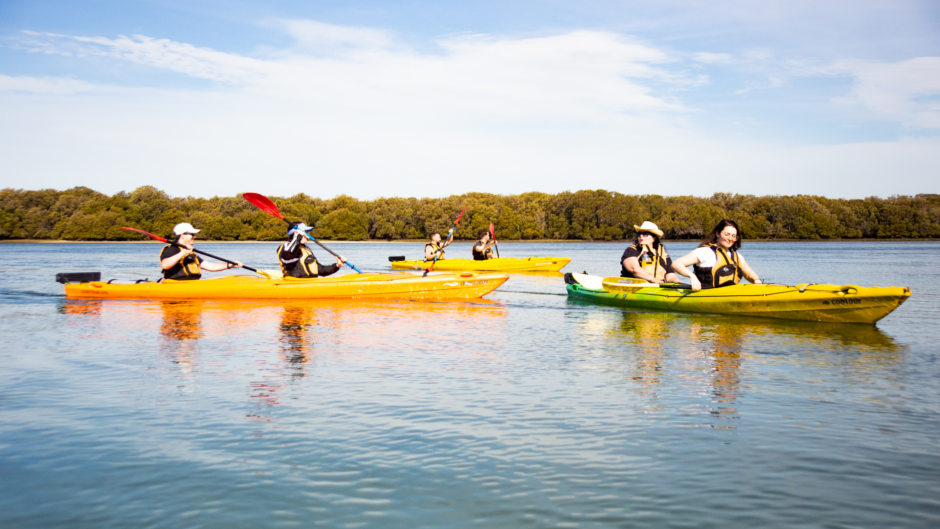 Enjoy a unique kayak excursion to discover Adelaide's amazing dolphin sanctuary & shipwreck heritage trail...