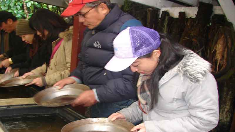 Step back in time. See a fascinating mix of exhibits & interactive activities in a recreated 1900's gold-rush village. A perfect "must do " family attraction.