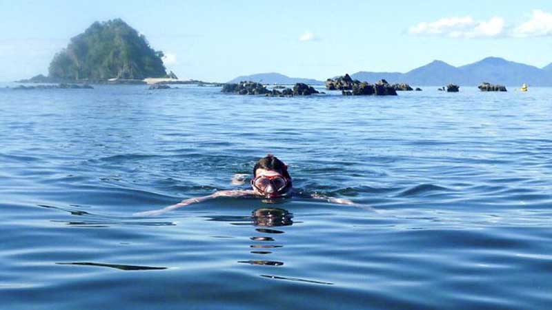 A fantastic half day kayak out to Double Island. This is a wonderfull snorkeling adventure! Come with us as we explore the island and the reef!