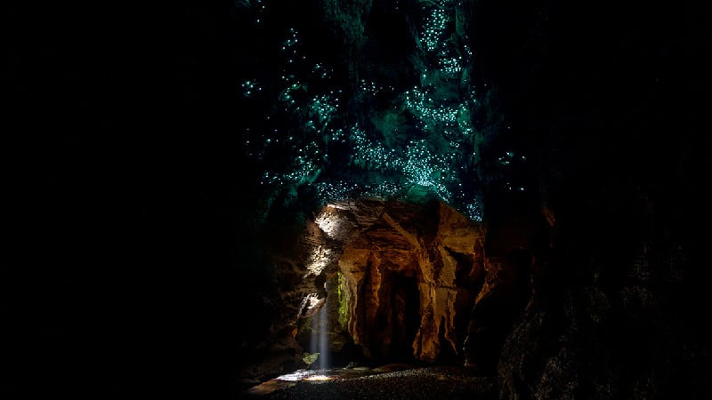 Experience this rare attraction - float along in your tube using only the natural light of a simply awe inspiring display of glow-worms for navigation within the cave system.