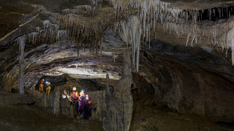 Experience this rare attraction - float along in your tube using only the natural light of a simply awe inspiring display of glow-worms for navigation within the cave system.