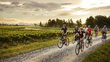 Marlborough - Full Day Self Guided Bike Winery Tour