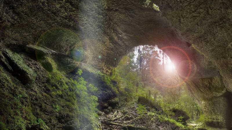 Explore the enormous Nile River cave system, with the galaxies of Glow-worms in residence. A stunning natural sight not to miss!
