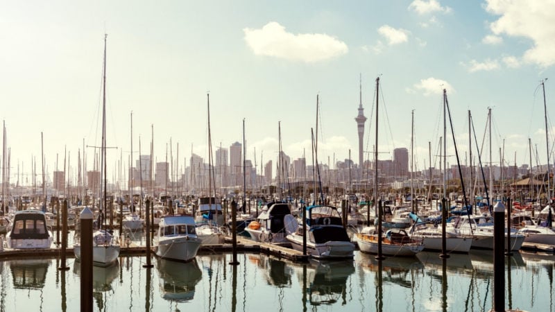 Take in the highlights and discover some of the best things to do in Auckland on this scenic and historic half-day Auckland sightseeing tour by luxury coach...