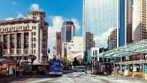 Auckland City Highlights Tour