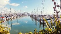 Spectacular Auckland - Day Tour with Harbour Cruise & Sky Tower