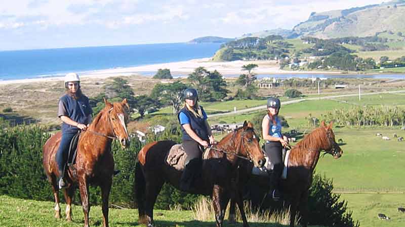 Listed in the Worlds "100 Things One Must Do Before You Die" Pakiri Beach Horse Riding matches the freedom of horse riding with an amazing setting; a stunning white sand beach lapped by clear blue ocean - a 'must do' experience you won't soon forget.