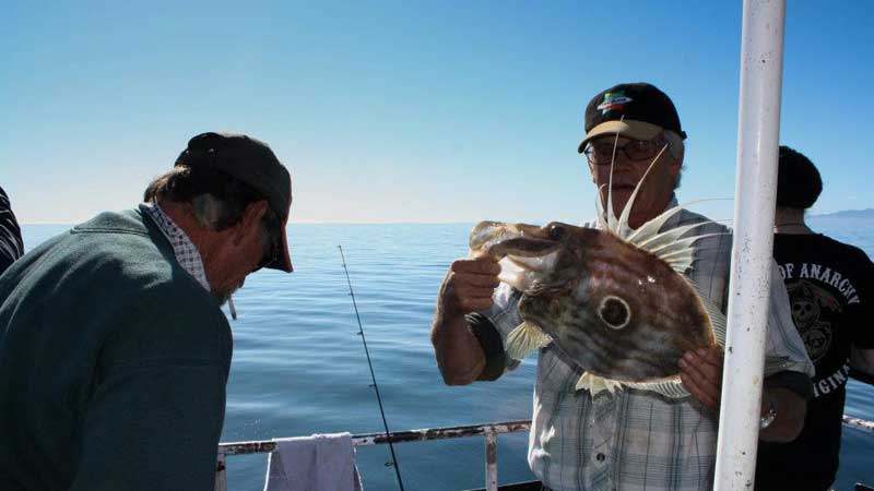 Enjoy a fantastic day out fishing on Auckland’s Waitemata Harbour! 