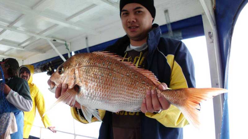 Enjoy a fantastic day out fishing on Auckland’s Waitemata Harbour! 