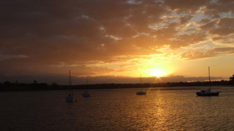 Join The Red Boats for a relaxing cruise through Auckland's upper Waitemata Harbour to the award winning Historic Riverhead Tavern!