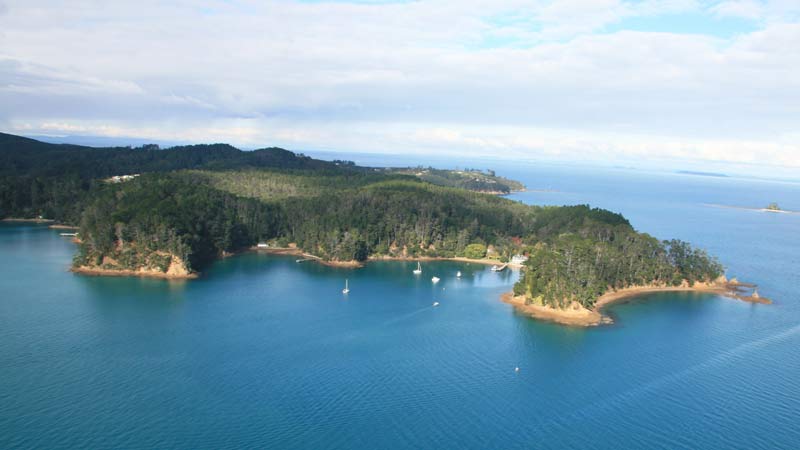 Escape for a day to beautiful Kawau Island on a stunning scenic cruise and discover a pristine wildlife reserve surrounded by the calm clear waters of the Hauraki Gulf...