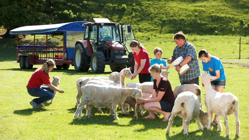 Discover the fascinating Waitomo Glowworm Caves and Rotorua geothermal activity, plus learn about Māori culture and enjoy a New Zealand farming experience on a luxury return day tour from Auckland City...