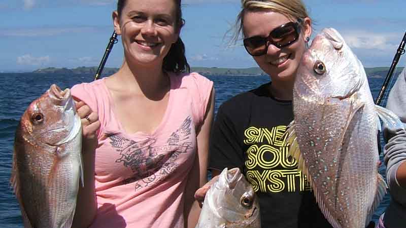 Join Auckland's top inshore Snapper fishing charter team for a fantastic 6-hour fishing trip on the Hauraki Gulf.