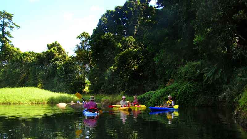 Come and enjoy a half day relaxing self-guided kayak or SUP down the mountain fed Babinda Creek, 50 minutes south of Cairns. Suitable for ages 2 and above!