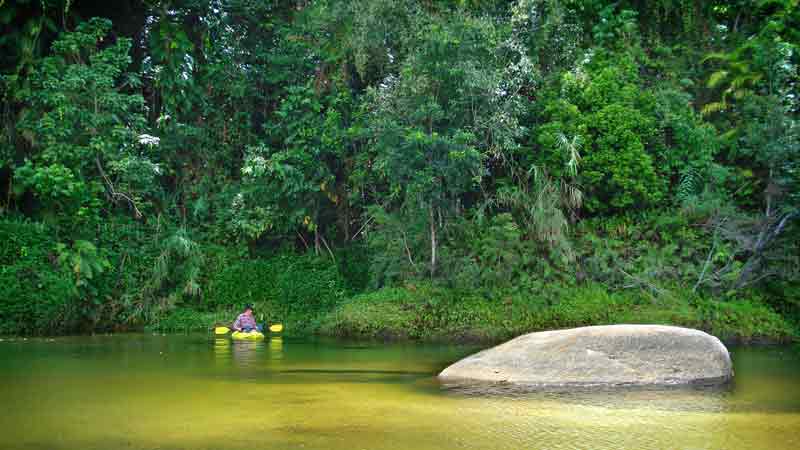 Come and enjoy a half day relaxing self-guided kayak or SUP down the mountain fed Babinda Creek, 50 minutes south of Cairns. Suitable for ages 2 and above!