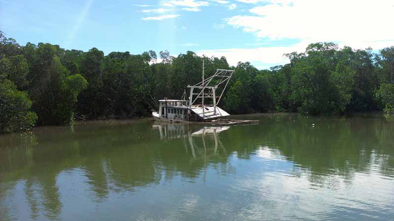 This tour is a 1 hour "Calm Water" exploration of the Cairns Harbour, Inlet and Wetlands. Trinity Inlet is so close to Cairns yet you feel as though you are on a real adventure away from it all!