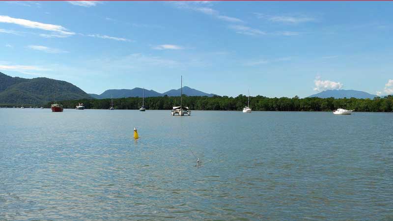 This tour is a 1 hour "Calm Water" exploration of the Cairns Harbour, Inlet and Wetlands. Trinity Inlet is so close to Cairns yet you feel as though you are on a real adventure away from it all!