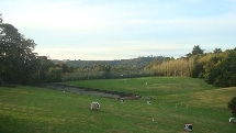 Top Golf Kumeu - Driving Range 100 Balls